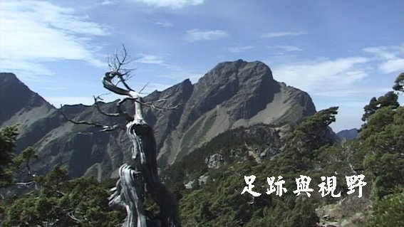 23主峰下的玉山圓柏.JPG