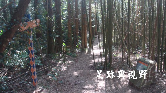 26步道後段的旁邊.JPG