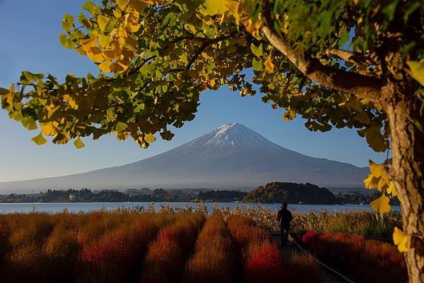 2023日本楓之旅--河口湖