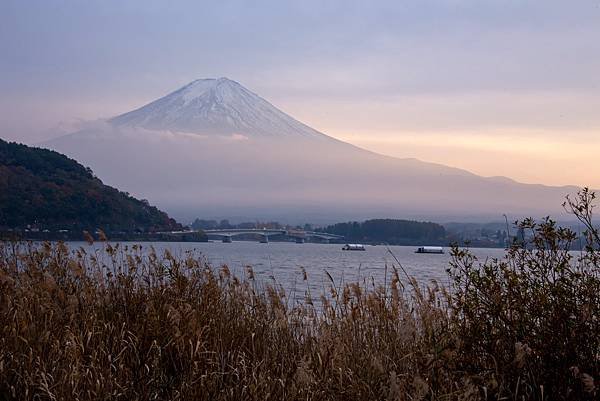 2023日本楓之旅--河口湖