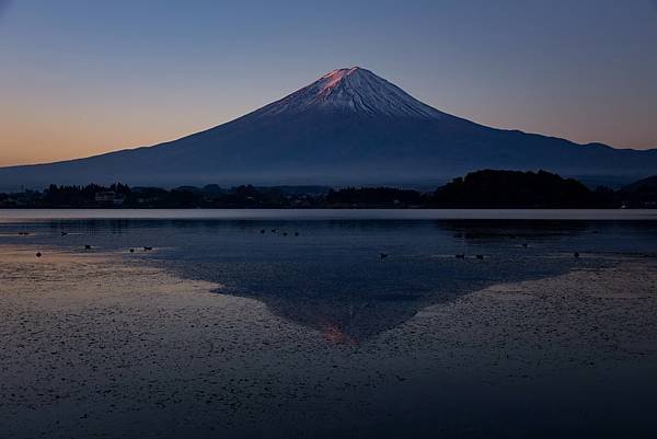 2023日本楓之旅--河口湖