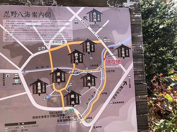 2023日本楓之旅--河口湖