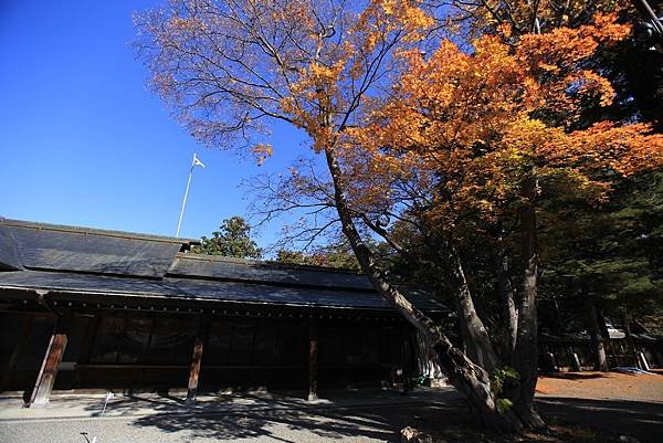 2024北海道--北海道知事公館神宮