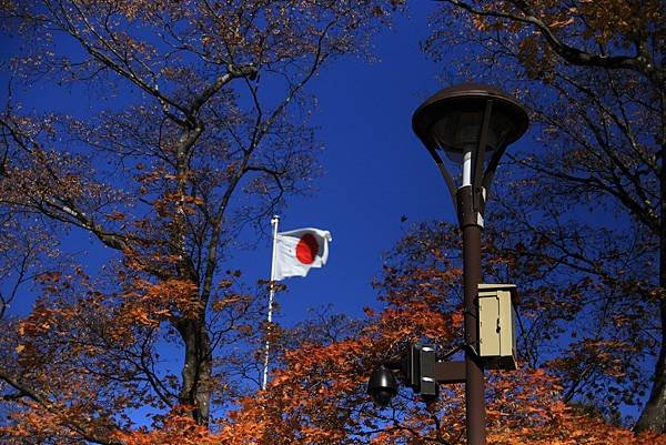 2024北海道--北海道知事公館神宮