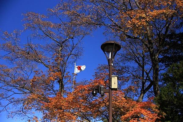 2024北海道--北海道知事公館神宮