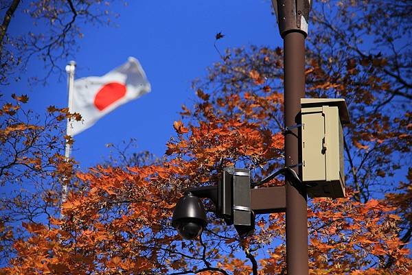 2024北海道--北海道知事公館神宮