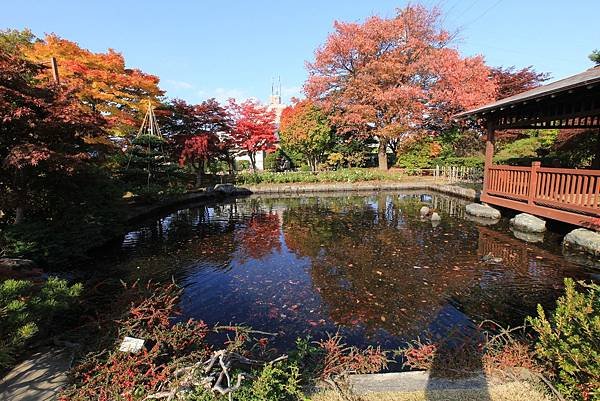 2024北海道--平岡樹藝中心