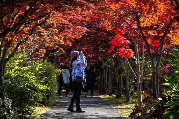 2024北海道--平岡樹藝中心