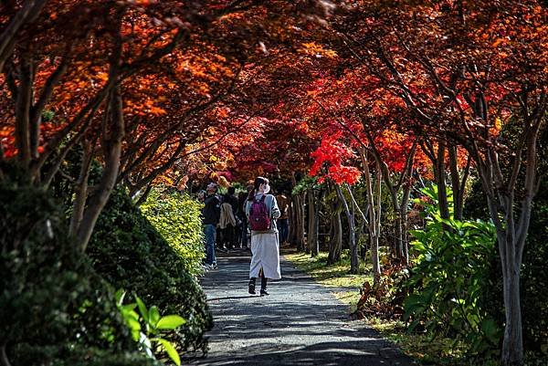 2024北海道--平岡樹藝中心