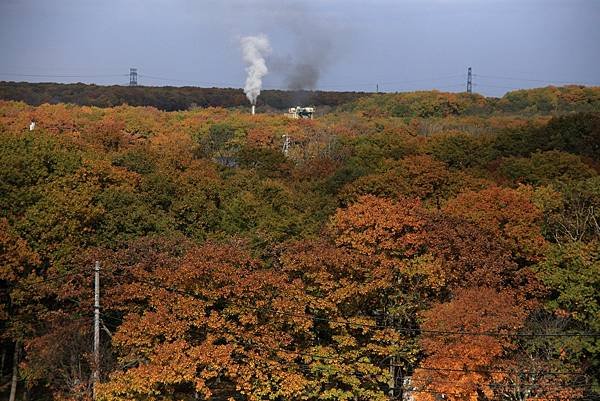 2024北海道--平岡樹藝中心