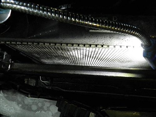 DSCN2204