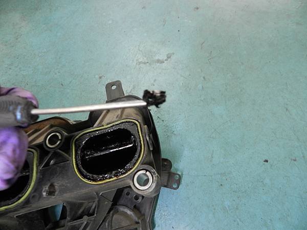 DSCN5980.JPG