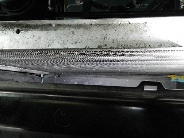 DSCN7085.JPG