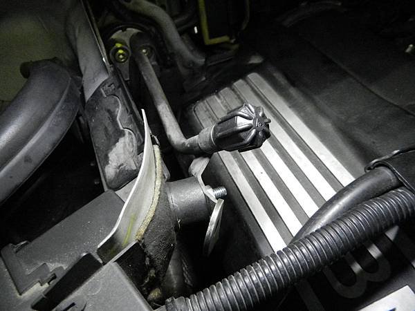 DSCN7107.JPG