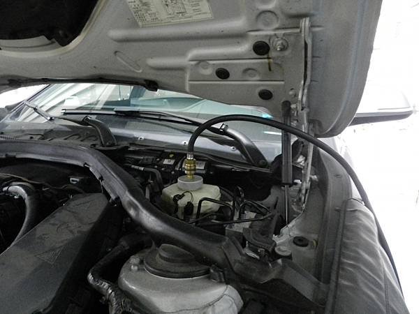 DSCN8504.JPG