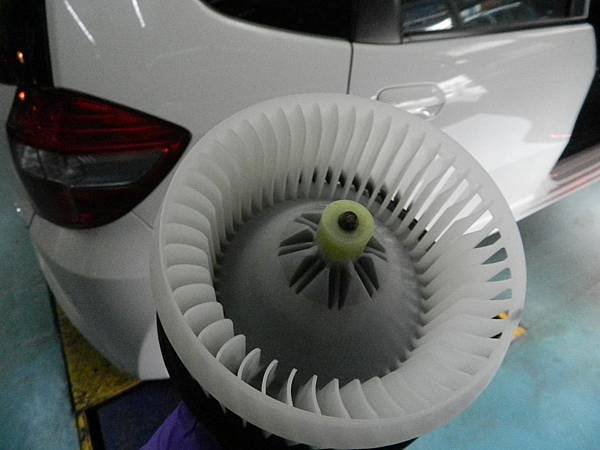 DSCN1018.JPG