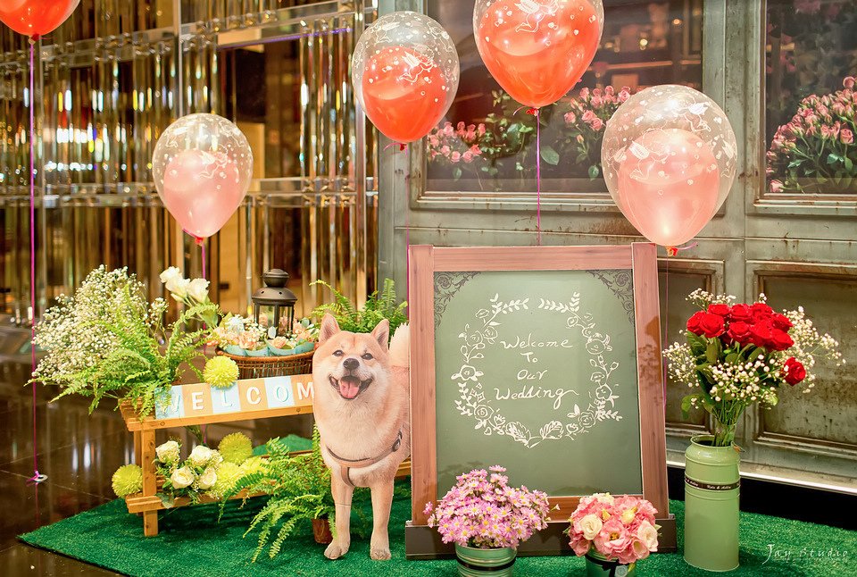 頤品大飯店婚攝~昇瑋&amp;紀萱結婚