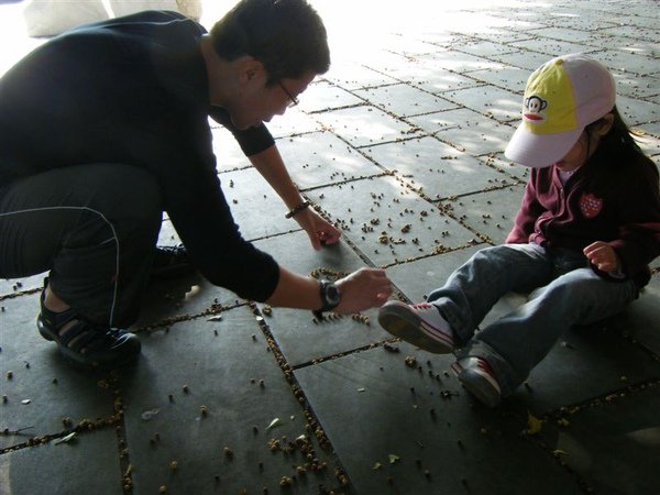 DSCF7172.JPG