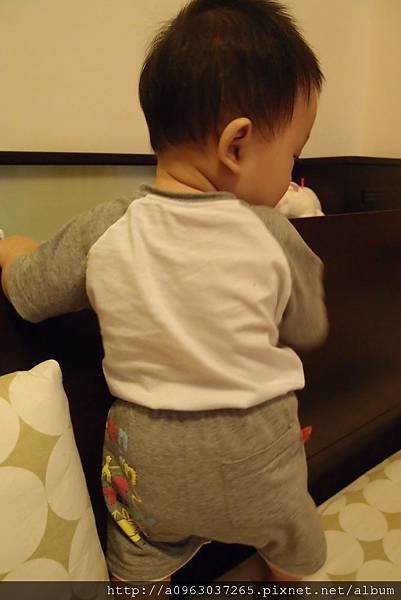 P6200009.JPG