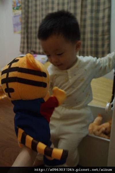 PB290884.JPG