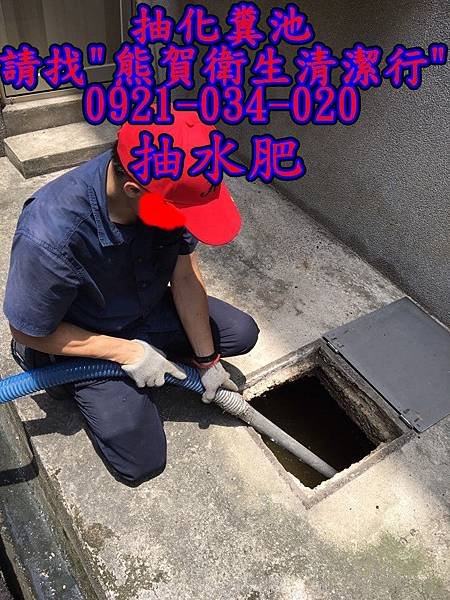 61423277_350021962383532_2221079166747410432_n.jpg