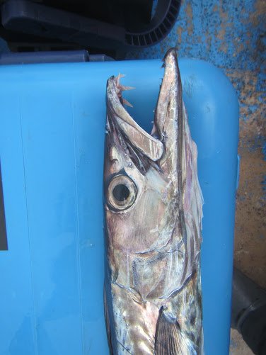 06.jpg