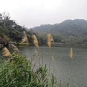 IMG_6060