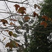 IMG_6025