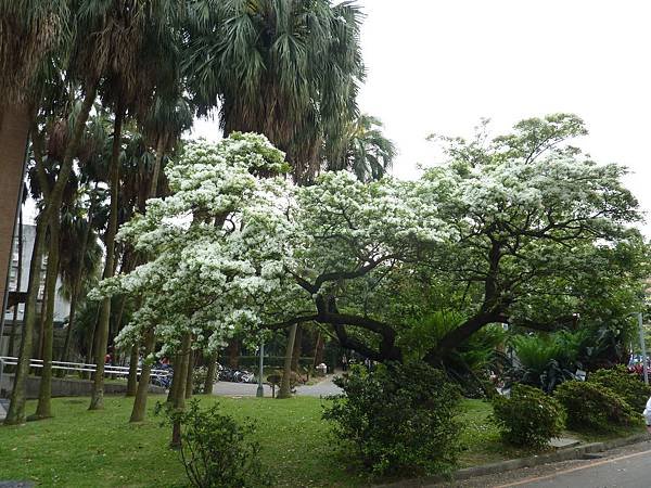 P1250017