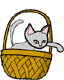 cat.gif
