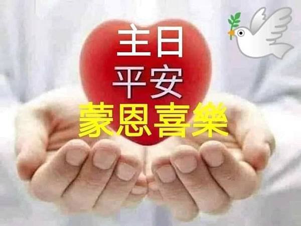 全能神經典話語 《信神怎樣進入真理實際的話語》 選段473／