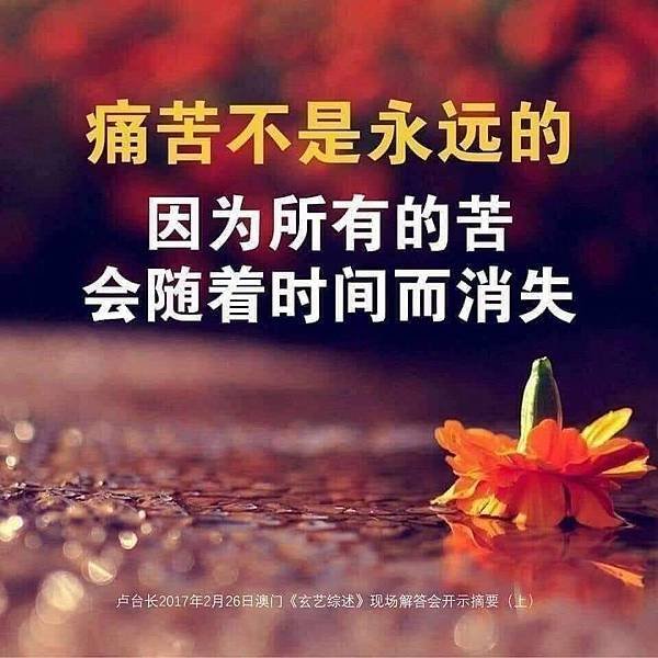 🌿Almighty God say’s, ⋯／基督教會舞蹈《