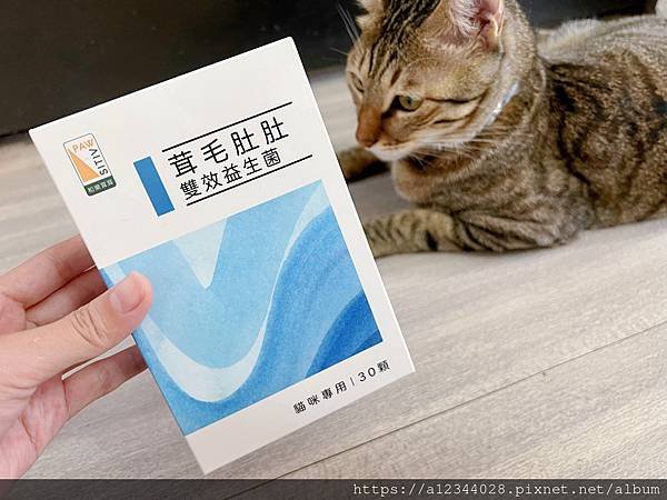 ◤Tigger體驗◢（貓咪保健品牌分享）【和樂茸茸Pawsi