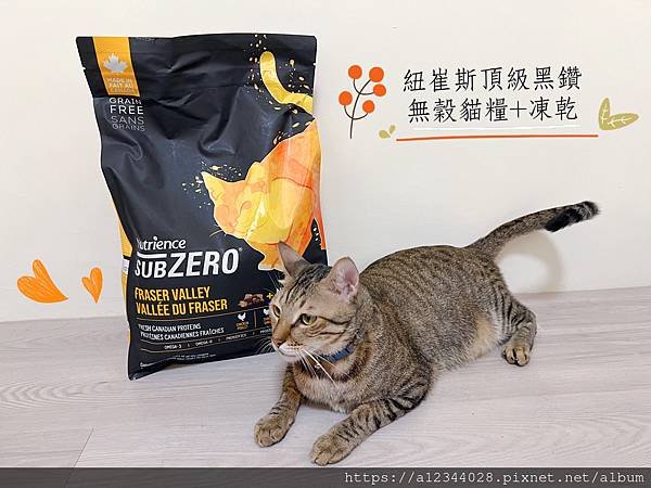 ◤Tigger體驗◢（2025飼料推薦）【八犬寵物】Nutr