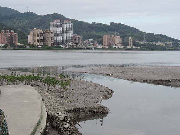 DSCN2829.JPG