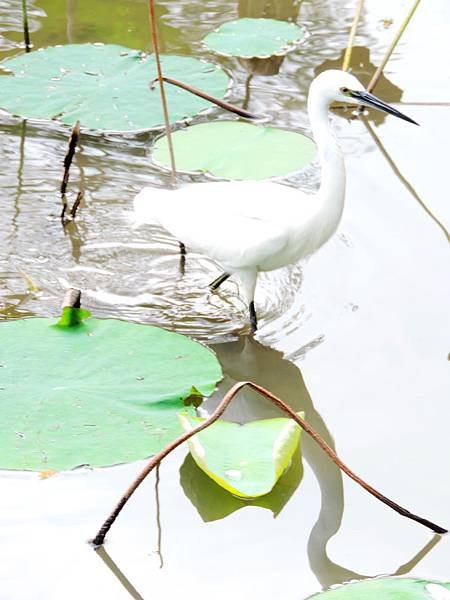 DSCN5536.JPG