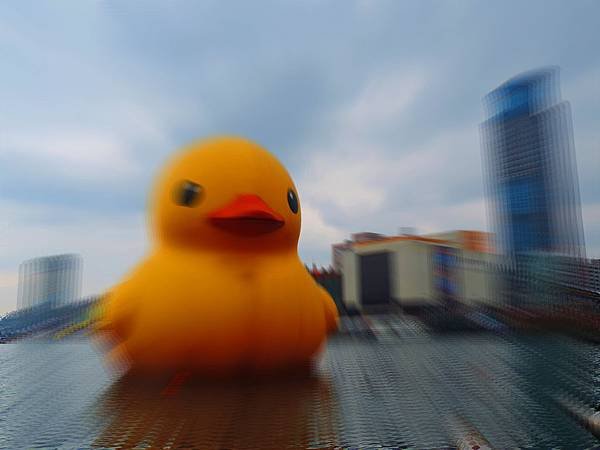 DSCN7728.JPG