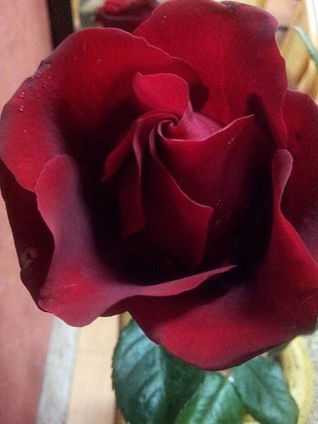 20140307_190356.jpg