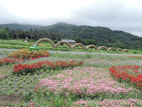 DSCN1136.JPG