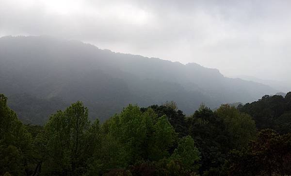 20150222_141522.jpg