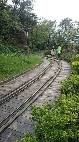 DSC_0119.JPG