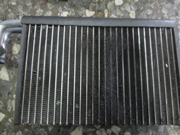 IMG_2495.JPG