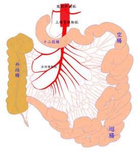 愛