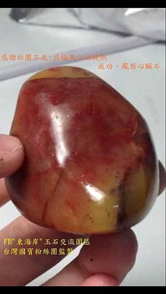 呂梅英 成功、鳳梨心臟石_副本