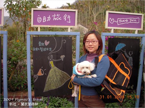 自助旅行.jpg