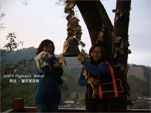 許願樹_1.jpg
