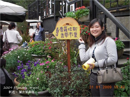 普羅旺斯香草市集.jpg