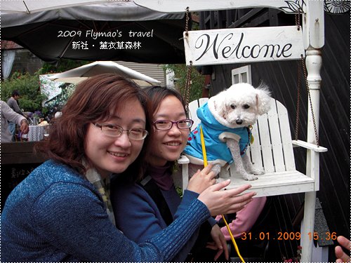 普羅旺斯香草市集_3.jpg