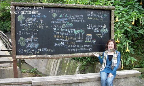 森林入口_4.jpg