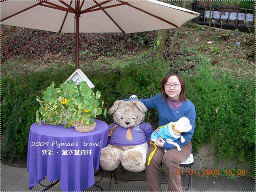 森林入口_迎賓小熊.jpg